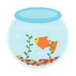 Live Fish