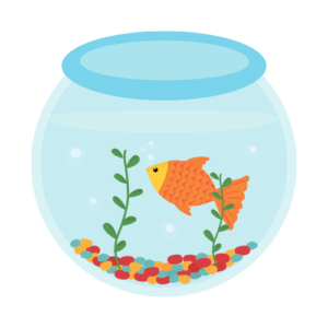 Live Fish